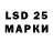 Ecstasy Philipp Plein Nika Vons