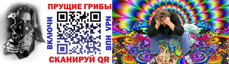 наркота  Называевск  Псилоцибиновые грибы мухоморы 